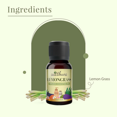 https://cdn.shopify.com/s/files/1/1857/6931/files/8INBo1wl6g.png?v=1728279056
